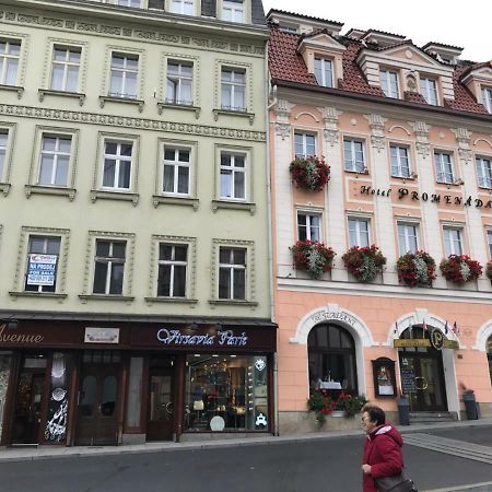 New Cosy Studio Karlovy Vary Dış mekan fotoğraf
