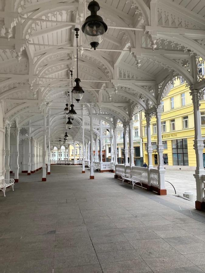 New Cosy Studio Karlovy Vary Dış mekan fotoğraf