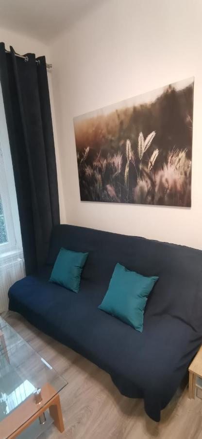 New Cosy Studio Karlovy Vary Dış mekan fotoğraf