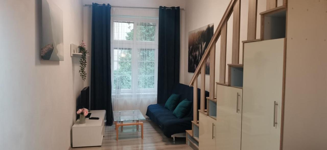New Cosy Studio Karlovy Vary Dış mekan fotoğraf